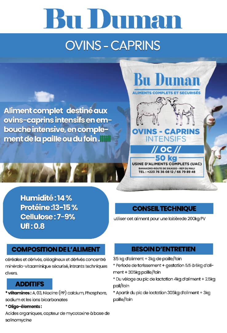 Bu Duman OVINS-CAPRINS